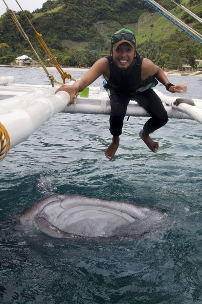 2 con cá mập voi khổng lồ ngoi lên mặt nước để nhận thức ăn của ngư dân.
